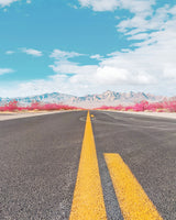 Road to Death Valley Poster och Canvastavla