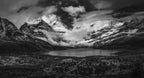 A summer day in Mt. Assiniboin Poster och Canvastavla