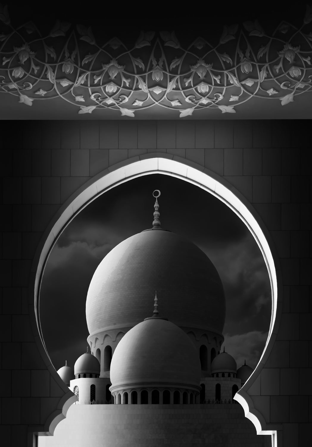 The Domes Poster och Canvastavla