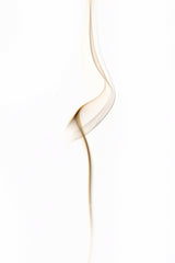 Golden Smoke Poster och Canvastavla