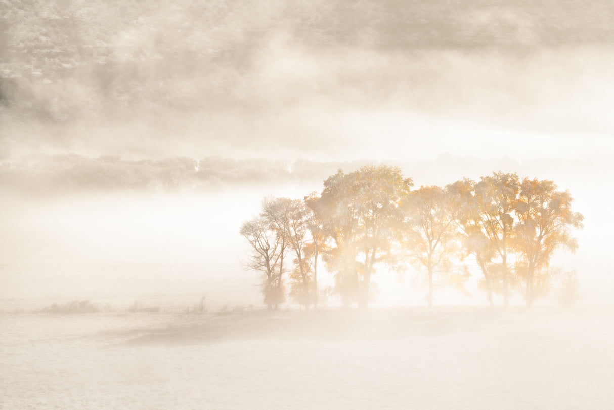 Autumn Dreams Poster och Canvastavla