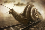 Snail Mail Poster och Canvastavla