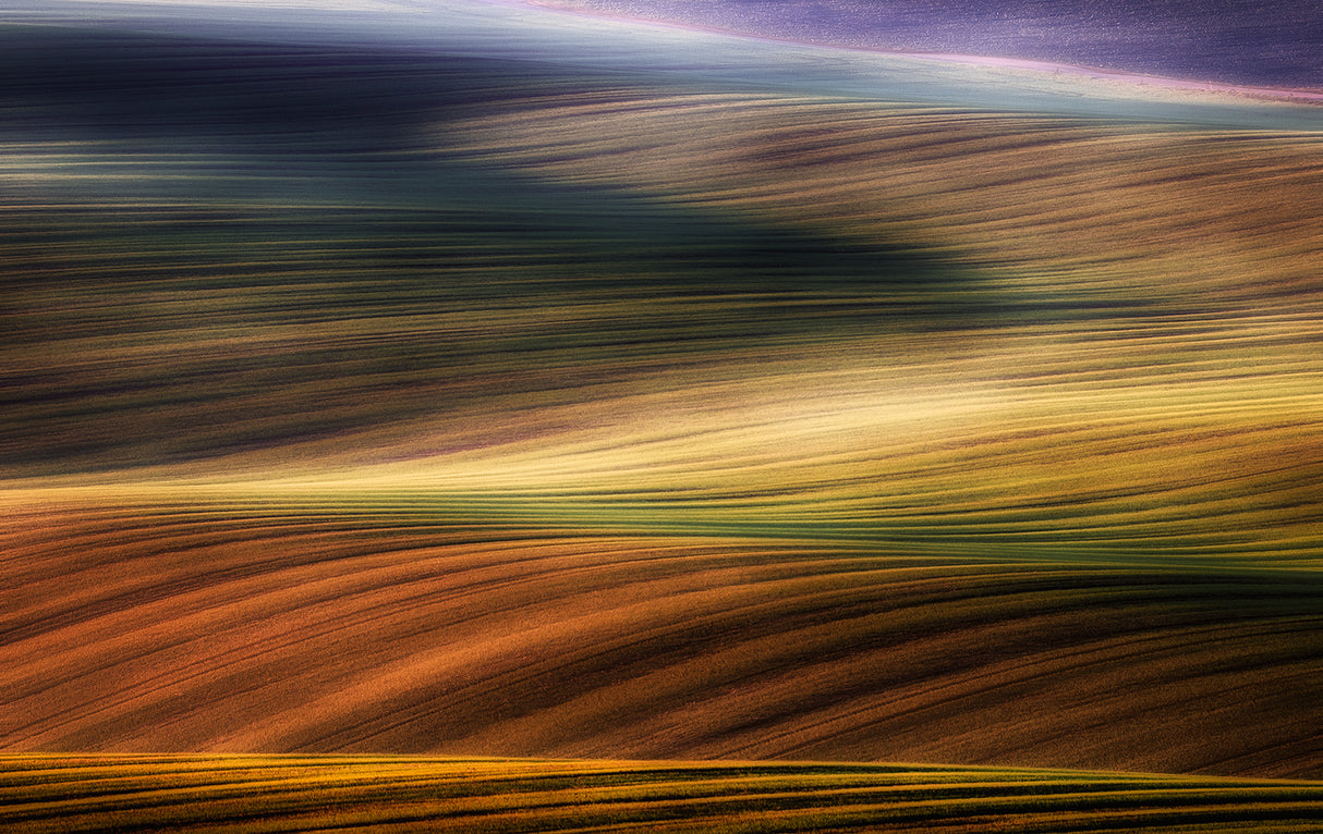 autumn fields Poster och Canvastavla