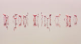 Water ballet Poster och Canvastavla