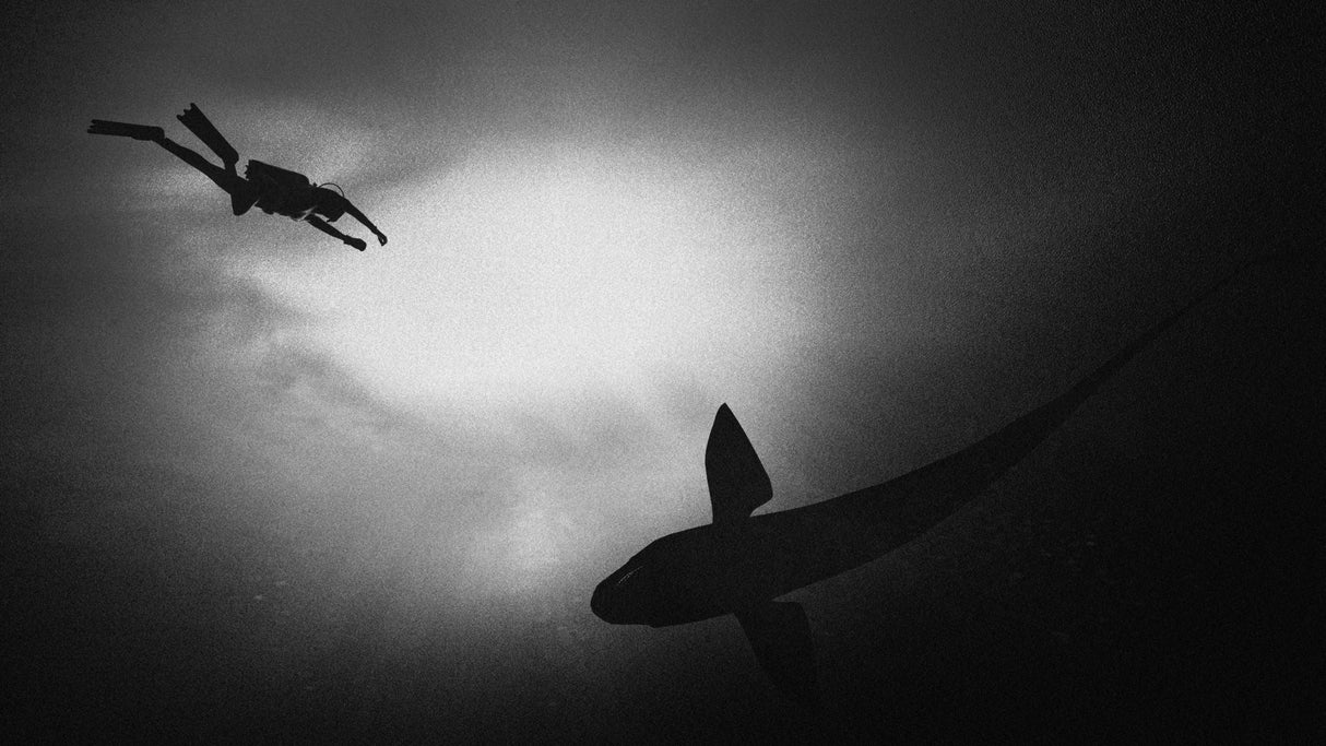 Deep Underwater Poster och Canvastavla