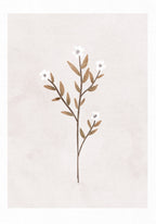 Forget Me Not Poster och Canvastavla
