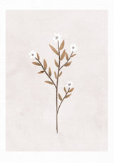 Forget Me Not Poster och Canvastavla