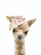 Floral Baby Llama Poster och Canvastavla