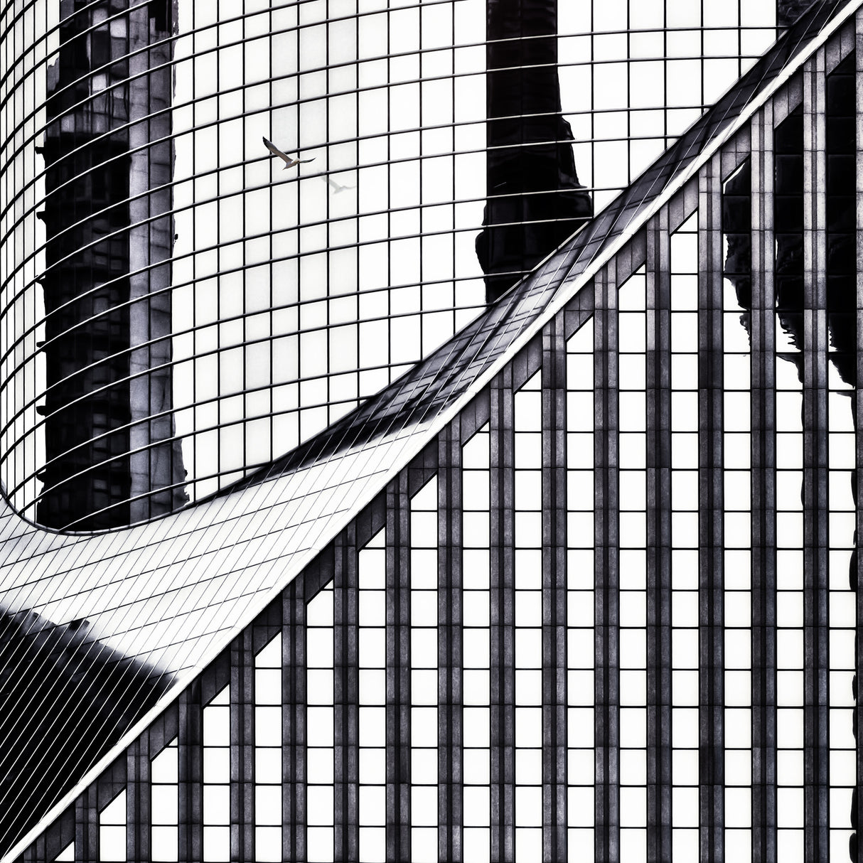 a world of glass Poster och Canvastavla