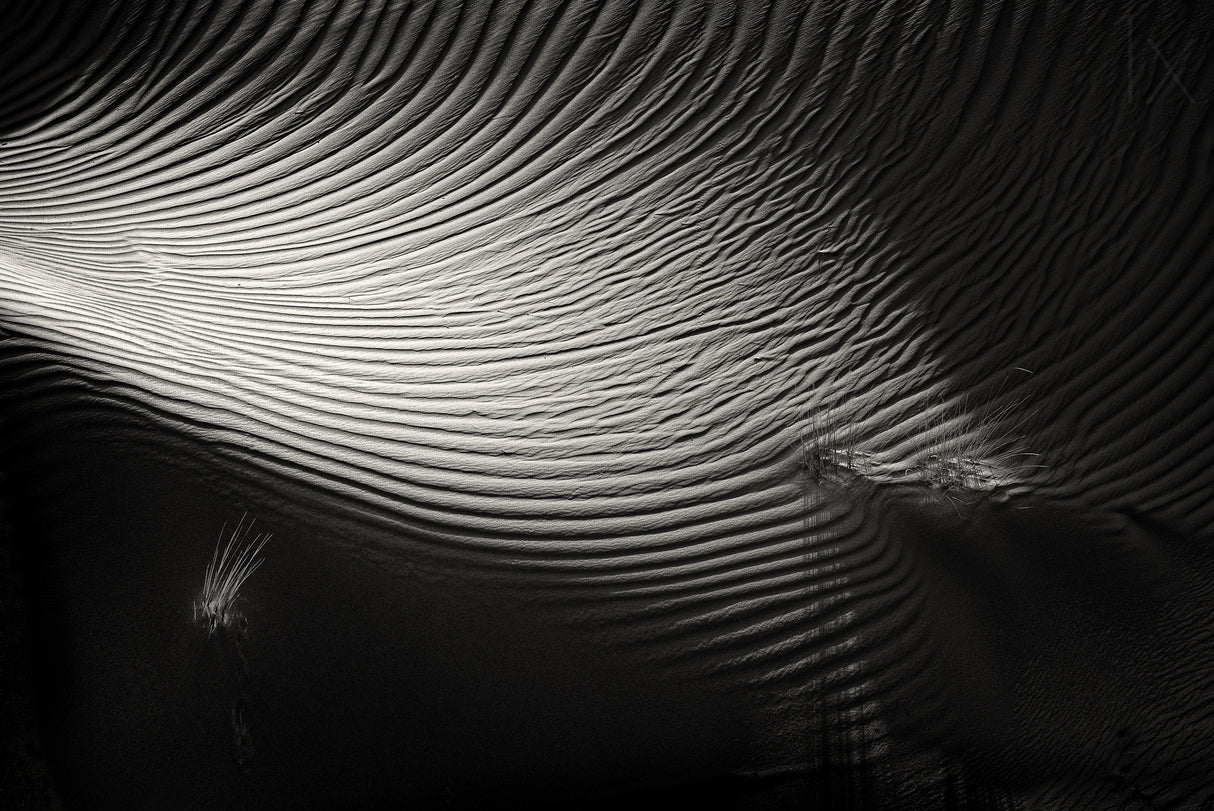 Shapes of the wind Poster och Canvastavla
