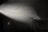 Shapes of the wind Poster och Canvastavla