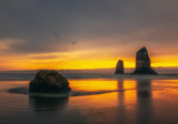 Sundown at Cannon Beach Poster och Canvastavla