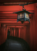 Golden Lantern Poster och Canvastavla