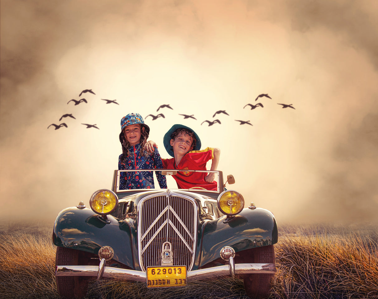 Summer drive Poster och Canvastavla