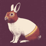 Lapin Catcheur Poster och Canvastavla