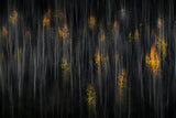 Forest symphony Poster och Canvastavla