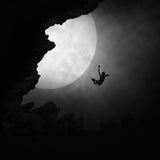 Playing in the Moonlight Poster och Canvastavla
