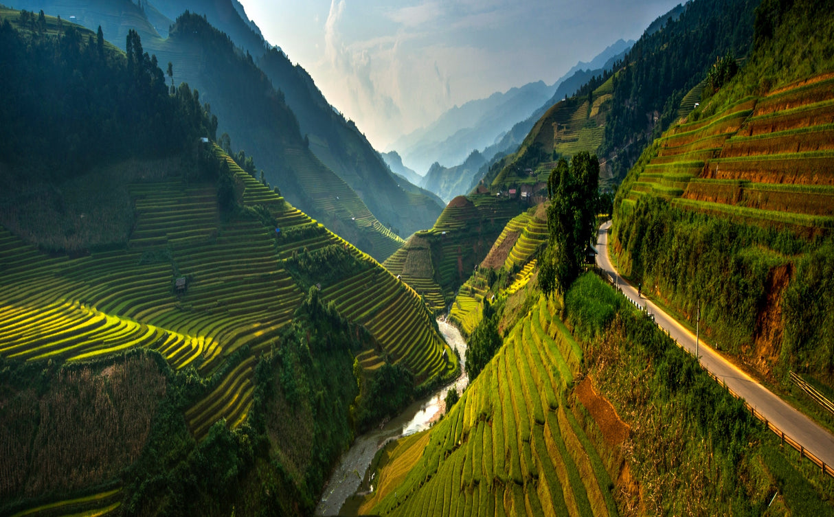 Mu cang chai Poster och Canvastavla