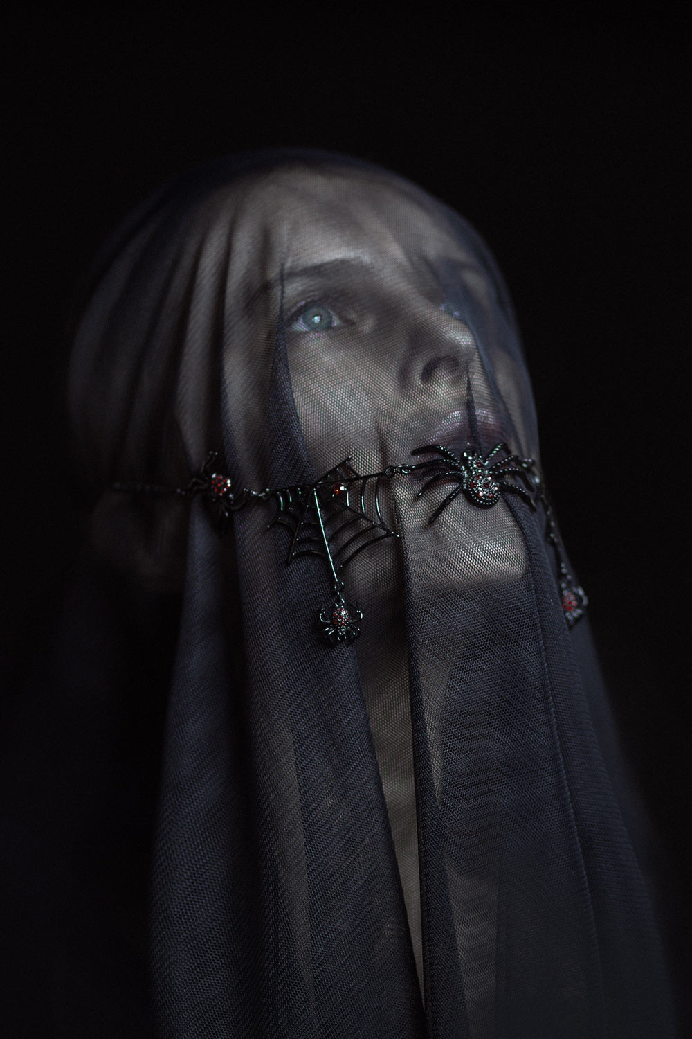 Spider's Mistress Poster och Canvastavla
