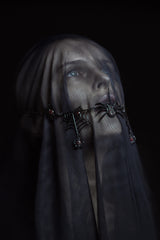 Spider's Mistress Poster och Canvastavla