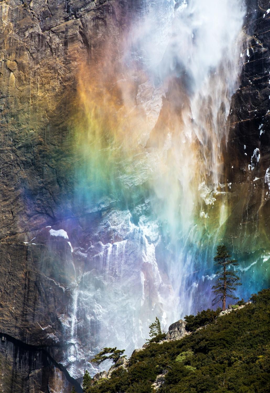 Motley Falls Poster och Canvastavla