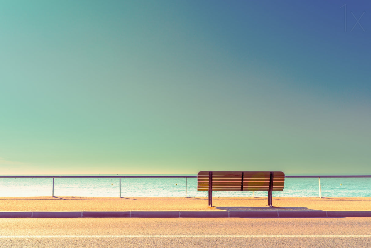 The Bench Poster och Canvastavla