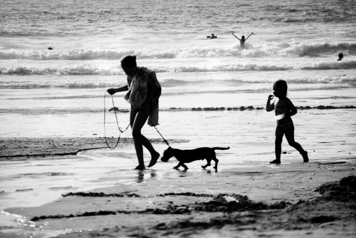 On the beach Poster och Canvastavla