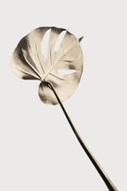 Monstera Gold 03 Poster och Canvastavla