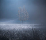 A memory of Light Poster och Canvastavla