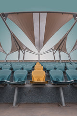 Poster och Canvastavla