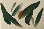 Floating Leafs Poster och Canvastavla