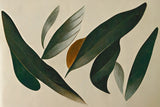 Floating Leafs Poster och Canvastavla