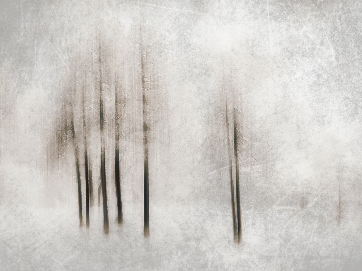 Winter ghosts Poster och Canvastavla