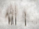 Winter ghosts Poster och Canvastavla
