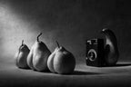 The  photosession Poster och Canvastavla
