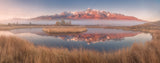 Misty morning in the Altai Poster och Canvastavla
