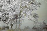 Spring Poster och Canvastavla