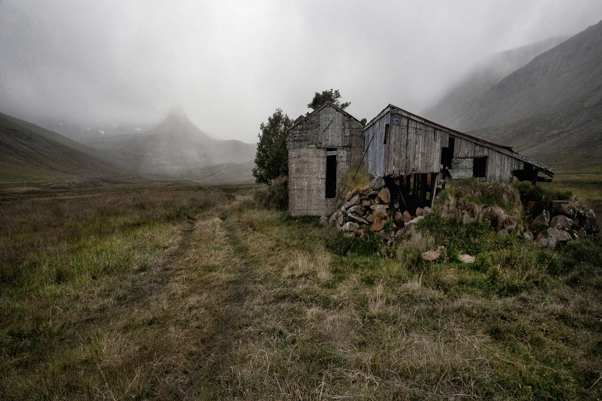 Bleak Decay Poster och Canvastavla