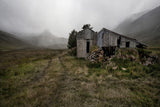 Bleak Decay Poster och Canvastavla