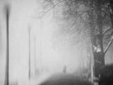 days of mist Poster och Canvastavla
