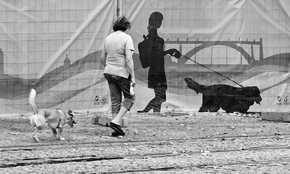 Shadows from the past Poster och Canvastavla