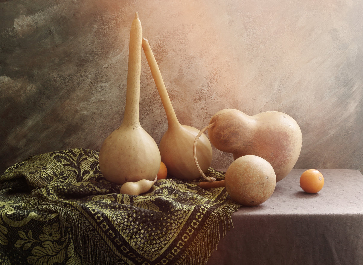Still life with medicinal pumpkins Poster och Canvastavla
