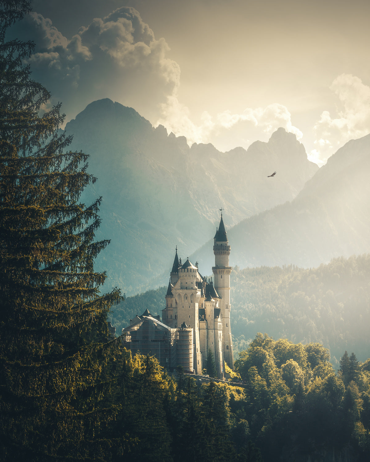 Neuschwanstein Castle Poster och Canvastavla