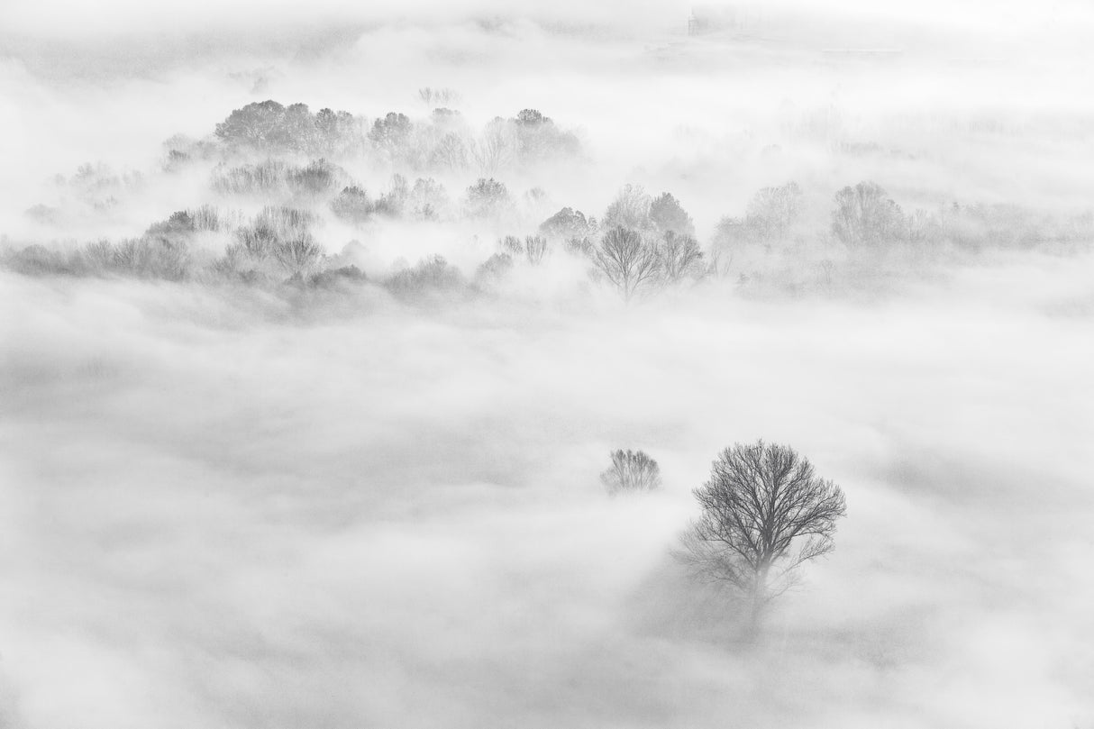 Foggy atmosphere Poster och Canvastavla