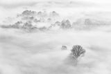 Foggy atmosphere Poster och Canvastavla