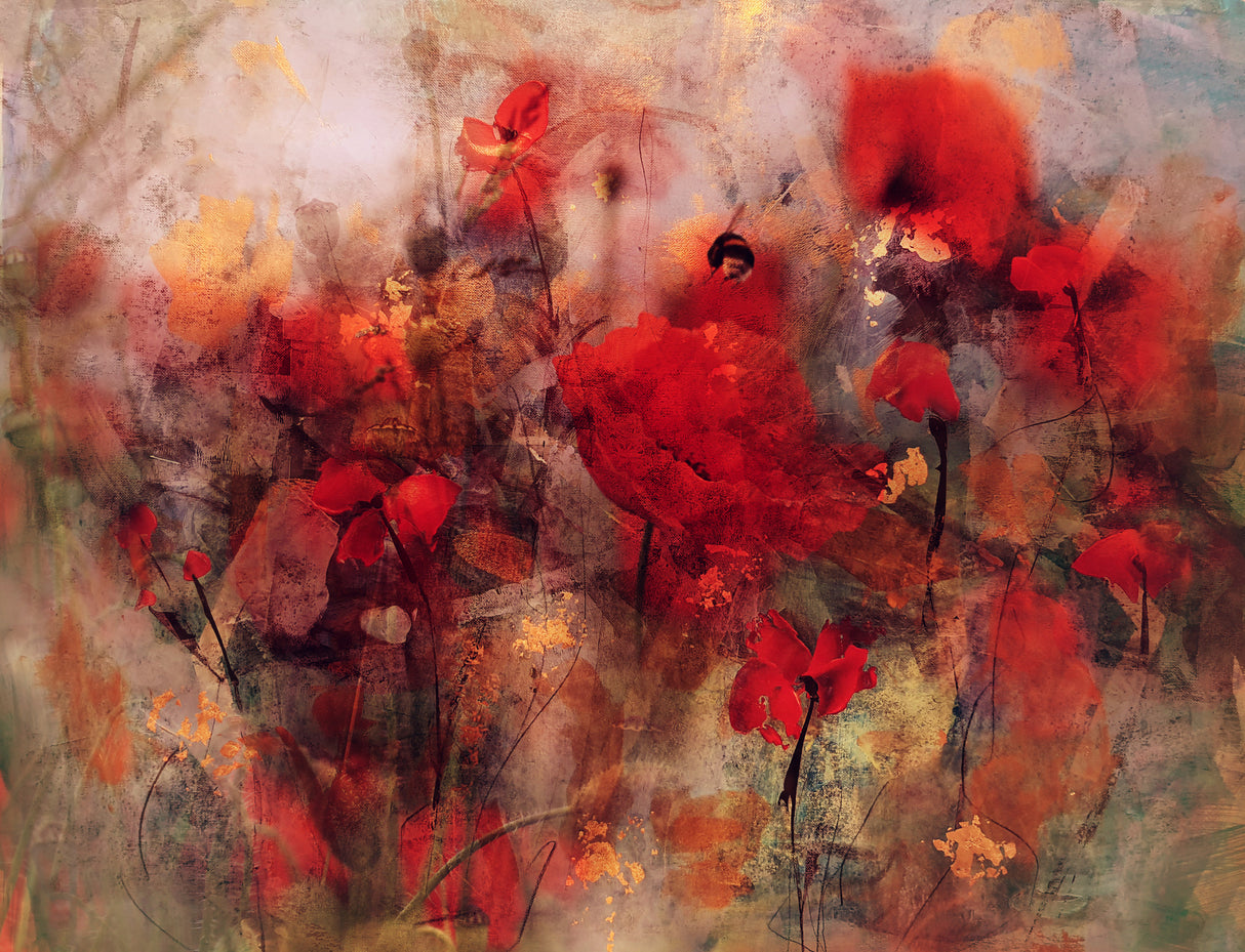 Poppies II Poster och Canvastavla