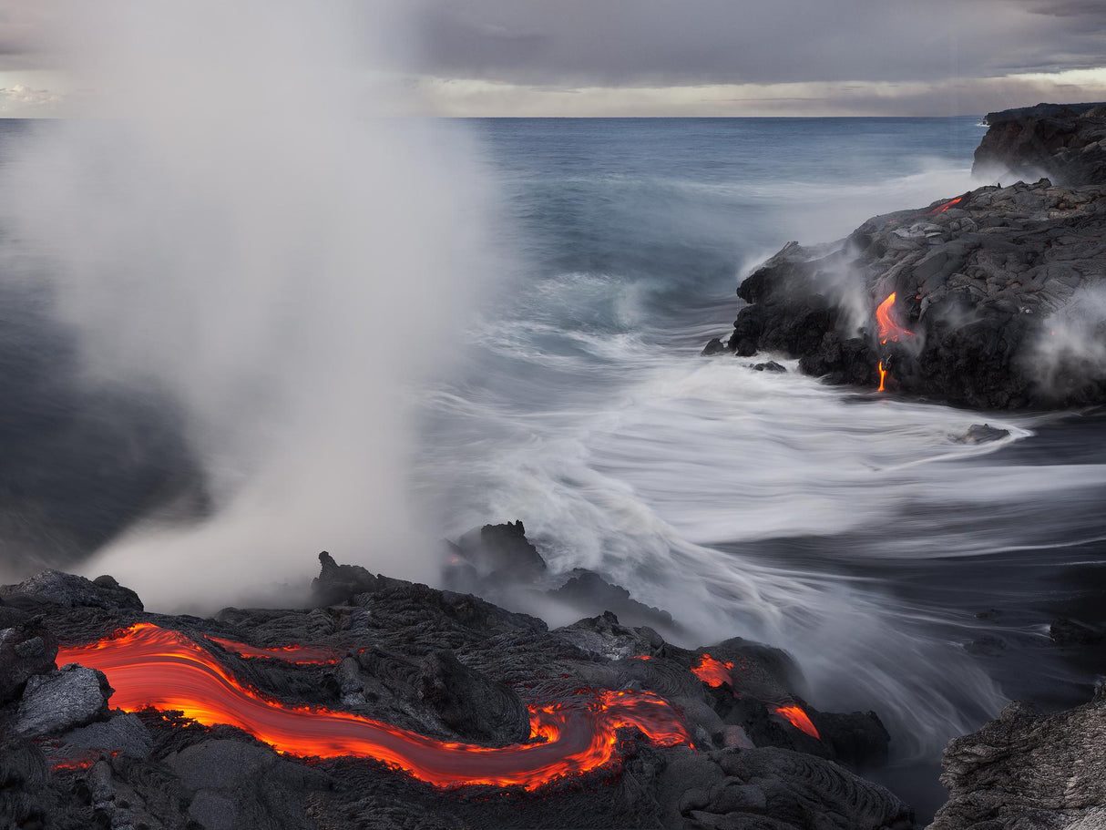 Fried Feet Poster och Canvastavla