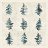 Nine ferns collage Poster och Canvastavla