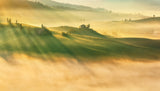 Foggy valley... Poster och Canvastavla