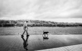 A man, a dog Poster och Canvastavla